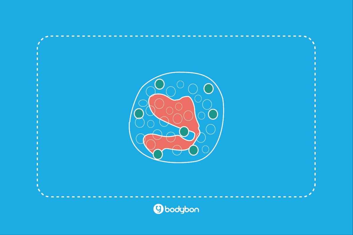 آزمایش ائوزینوفیل چیست؟ Eosinophils در آزمایش خون