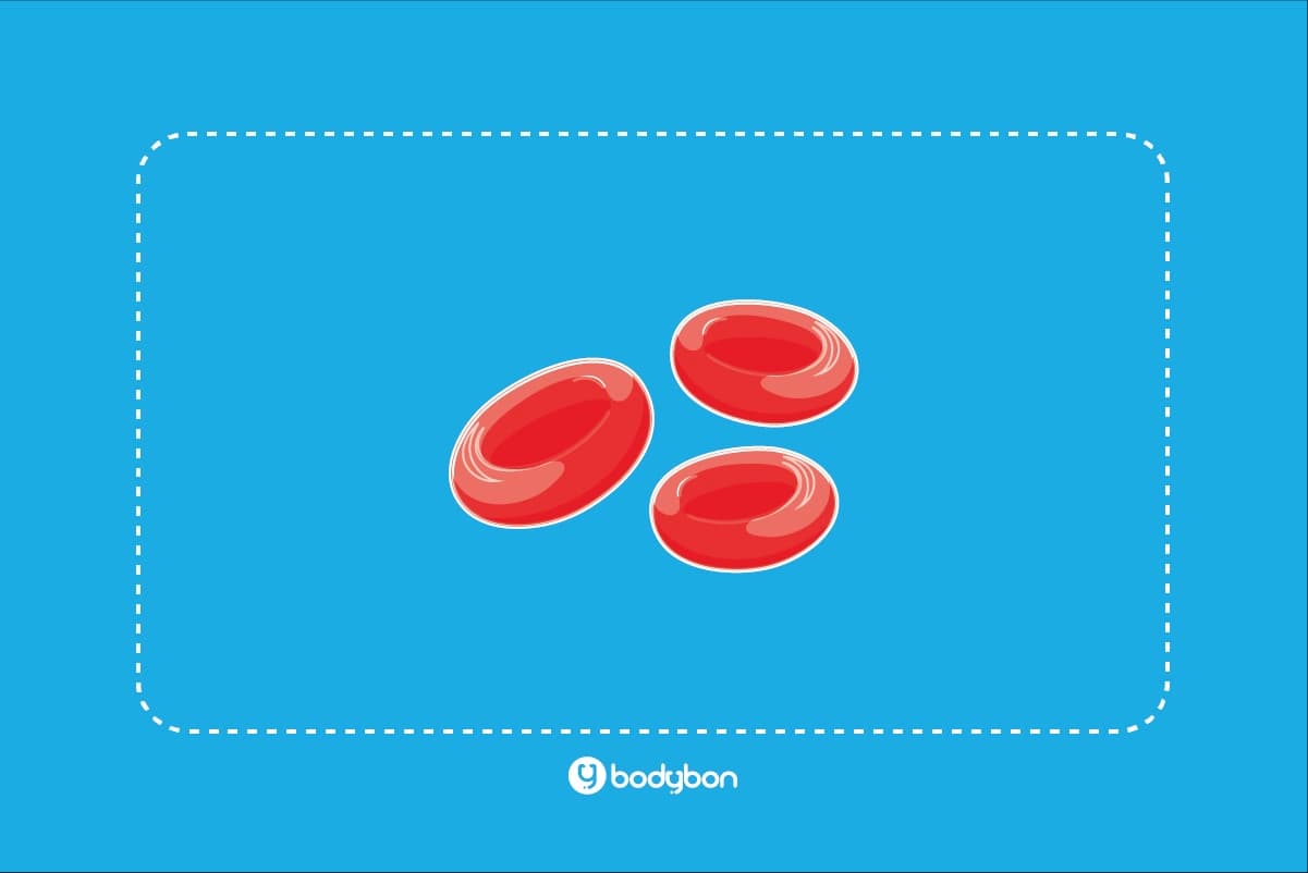 MCH در آزمایش خون چیست؟