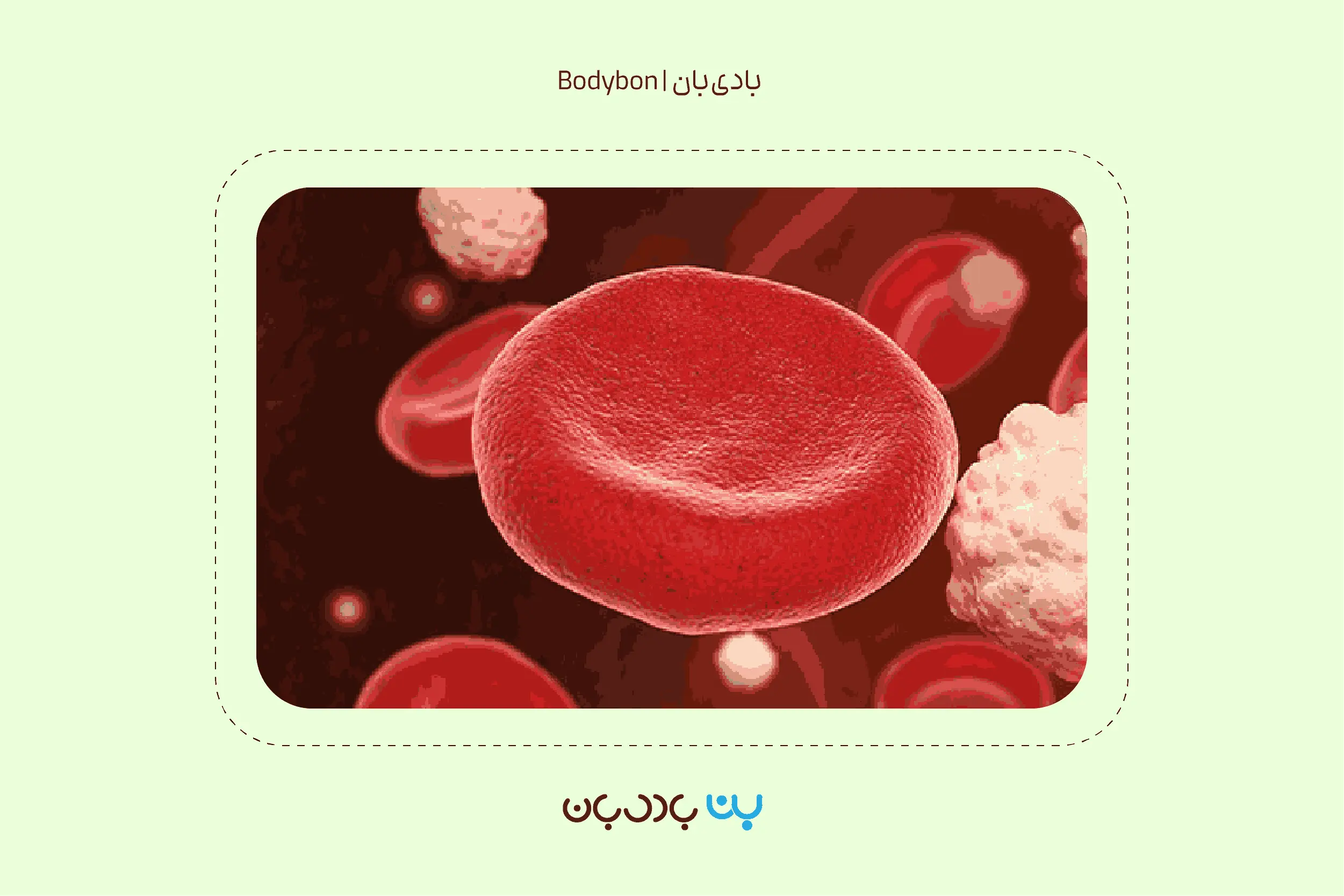 کاربرد تفسیر آزمایش رنین در شناسایی اختلالات فشار خون، الکترولیت‌ها و عملکرد کلیه‌ها