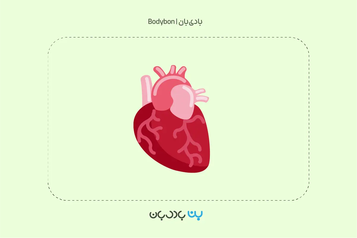 تفسیر آزمایش دیگوکسین یا تست DIG برای تعیین دوز داروی دیگوکسین