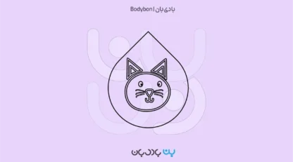 آزمایش خون گربه؛ چکاپ مهم برای تشخیص زودهنگام بیماری‌ها