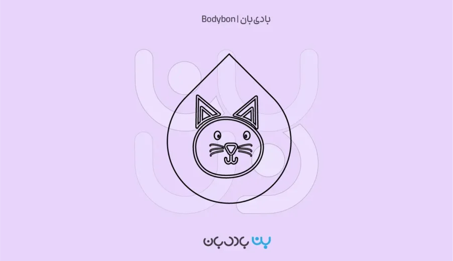 آزمایش خون گربه؛ چکاپ مهم برای تشخیص زودهنگام بیماری‌ها