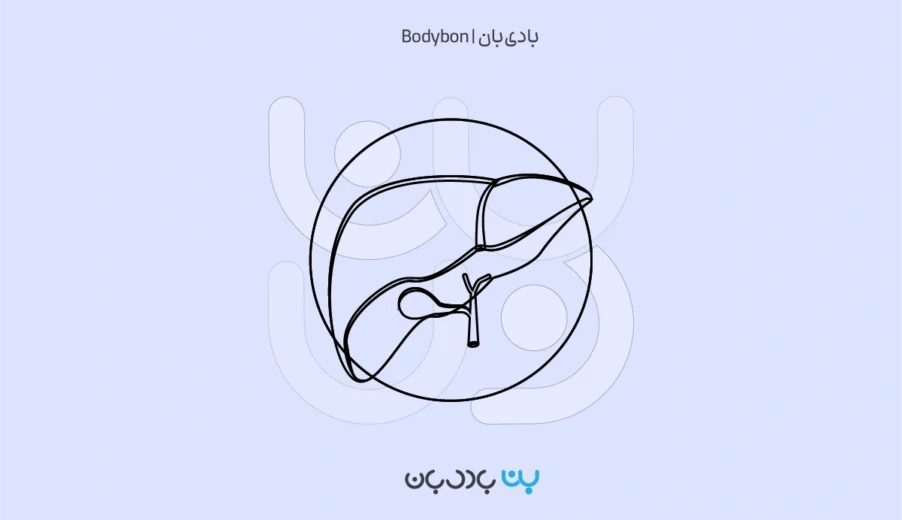 آزمایش کبد چرب؛ روش‌ها، تفسیر نتایج و علائم کبد چرب در آزمایش خون