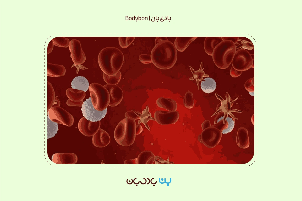 آزمایش Platelets چیست؟ PLT در آزمایش خون 2 what is platelets test 1