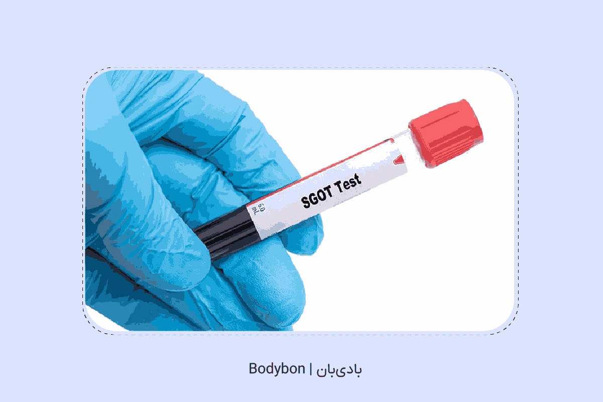 what is ast test 2