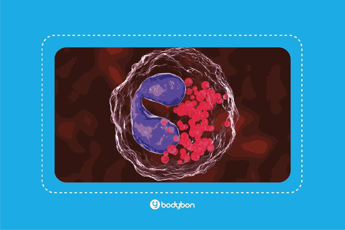 آزمایش ائوزینوفیل چیست؟ Eosinophils در آزمایش خون 1 بالا بودن eos در آزمایش ائوزینوفیل با اختلالات آلرژیک یا عفونت انگلی همراه است.