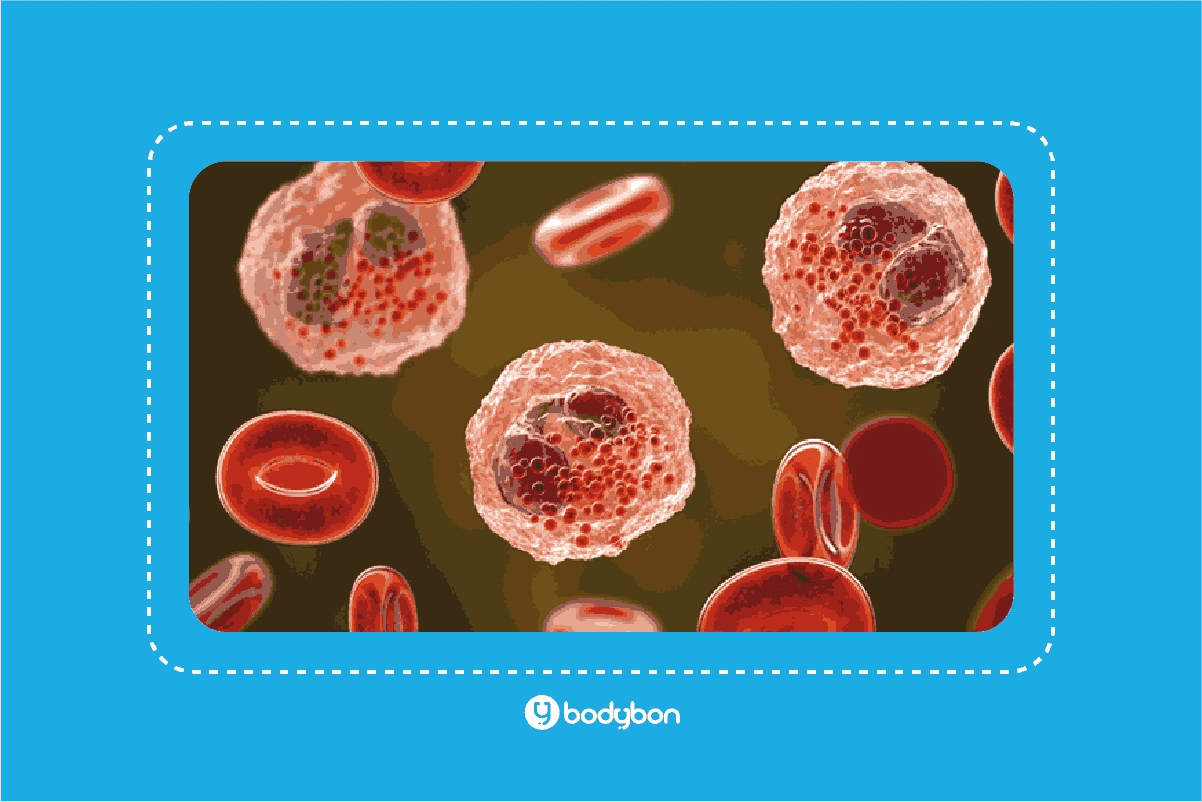 mch در آزمایش خون به متوسط مقدار هموگلوبین موجود در هر گلبول قرمز گفته می‌شود.