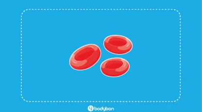 MCH در آزمایش خون چیست؟