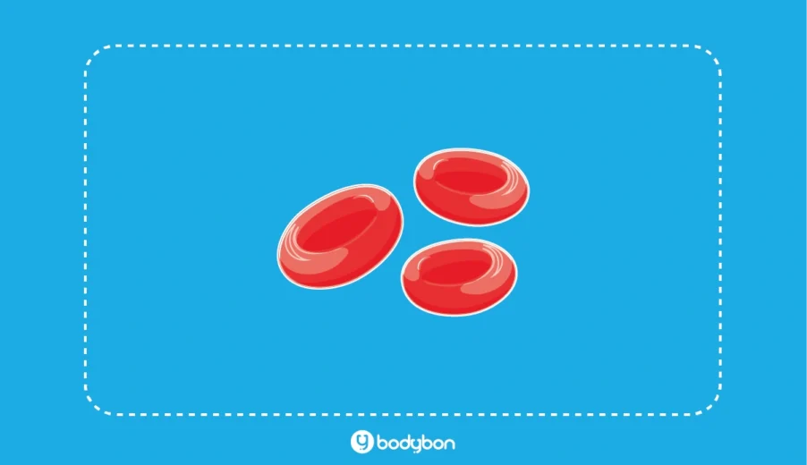 MCH در آزمایش خون چیست؟