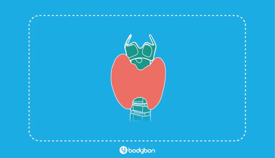 آزمایش T4 چیست و چه کاربردی دارد؟