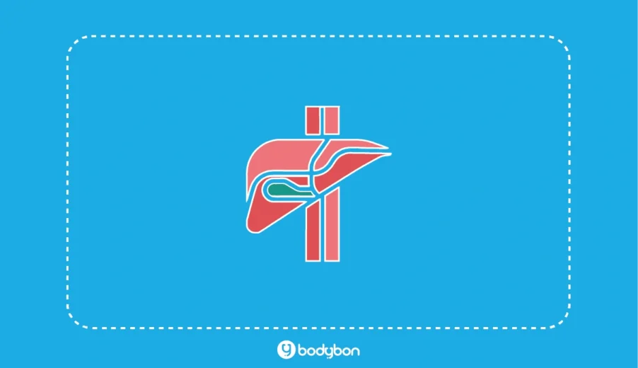 ALT در آزمایش خون چیست؟