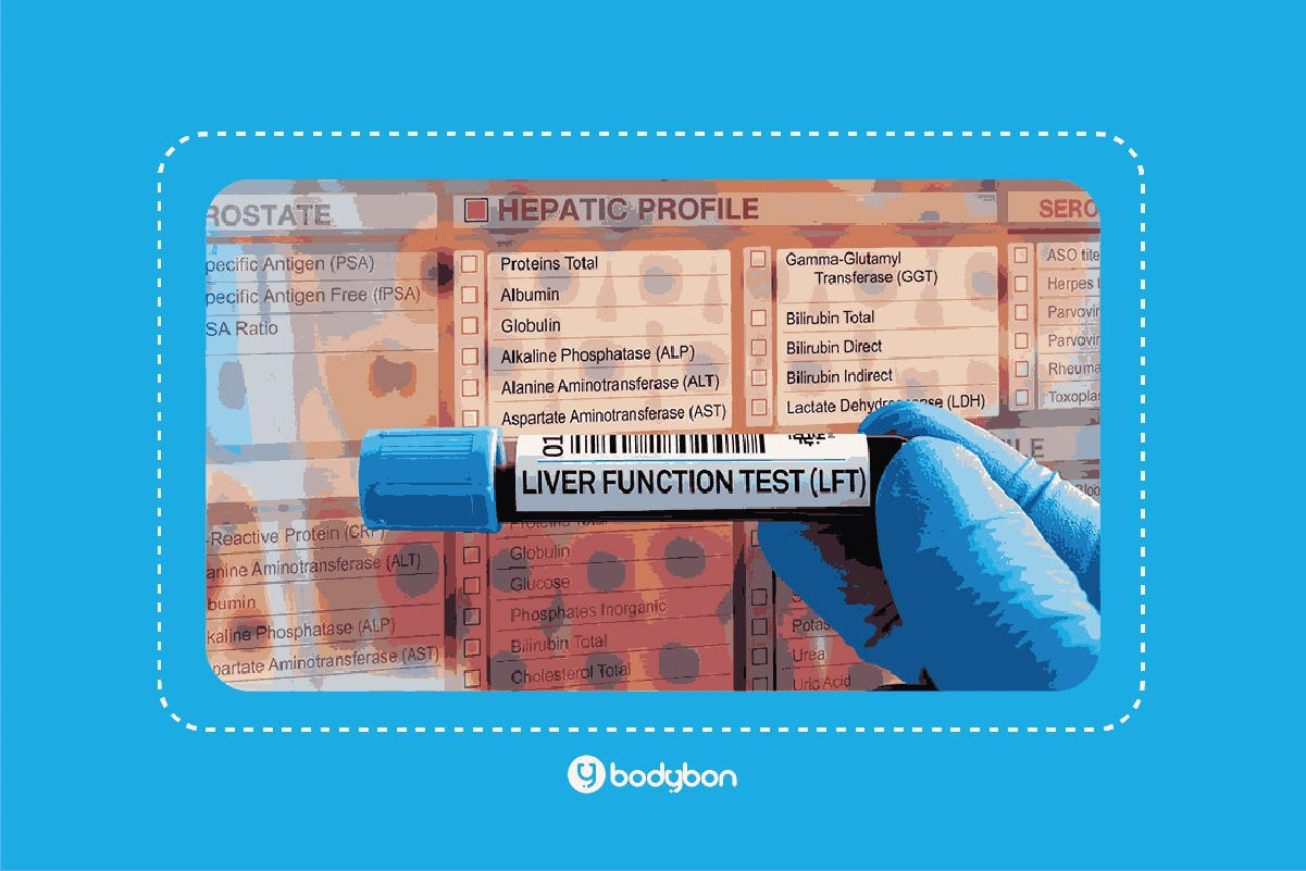 آزمایش عملکرد کبد به بررسی فاکتور‌هایی مانند آنزیم‌های ALT،AST،ALP و GGT، مقدار بیلی‌روبین، میزان آلبومین و فاکتورهای انعقادی می‌پردازد.