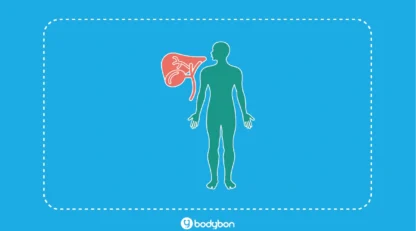 آزمایش عملکرد کبد (LFT) چیست؟